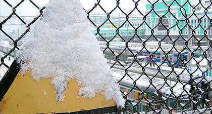 IMG_8866.jpg