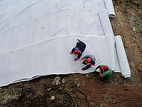 IMG_8861.jpg