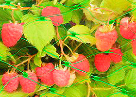 IMG_8882.jpg